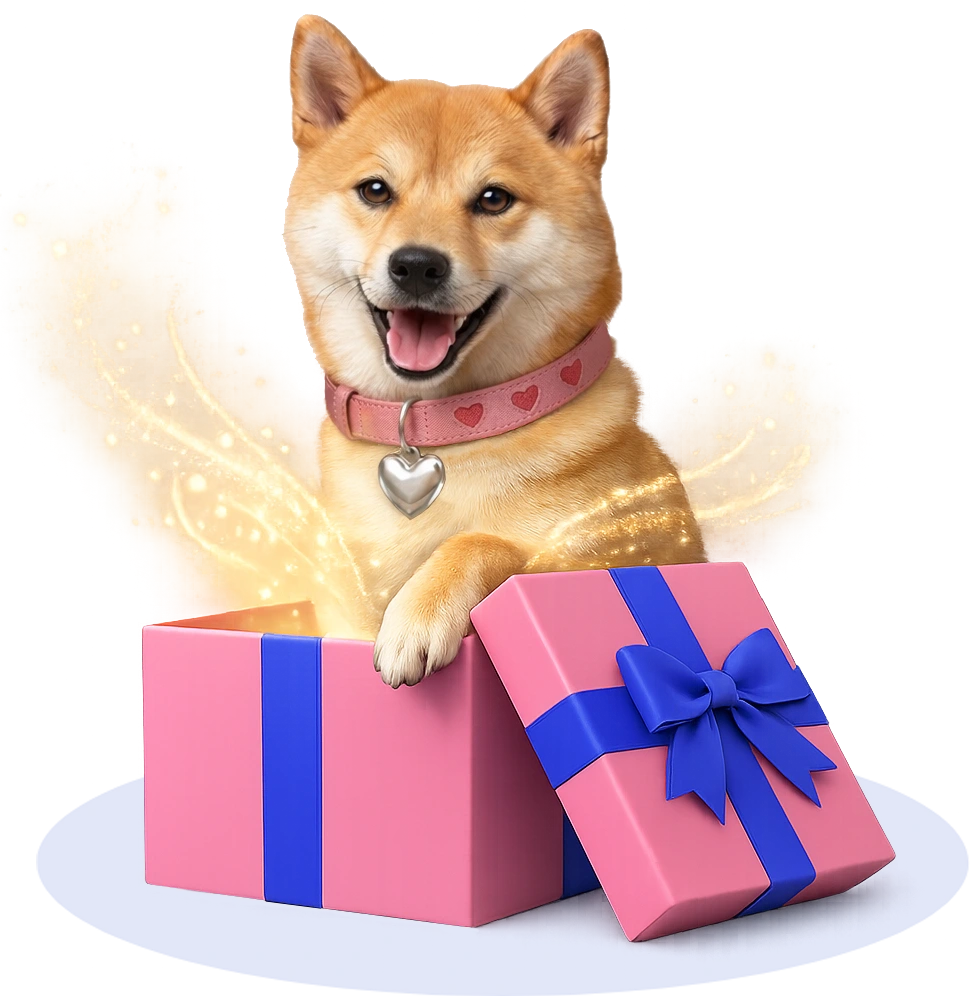 DogeGiFty gift illustration